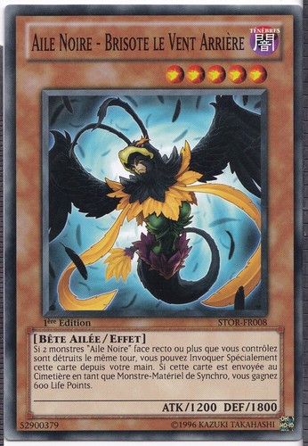 Aile noire brisote - aile, vent