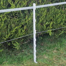 Piquet De Clôture Électrique
