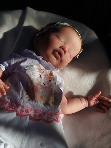 Poupée reborn bébé