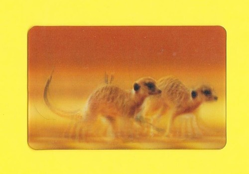 Carte cora match n 38 - cora, /
