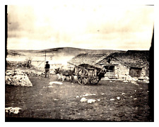 France, Grotte de Dargilan, peasant, cattle team Vintage silver print Tirag
