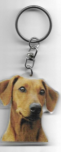 Pinscher chien porte cles - cles, /