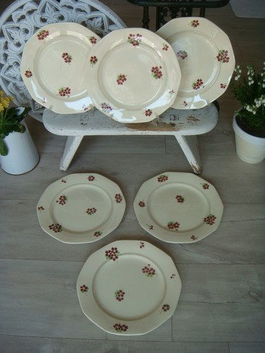 Assiettes plates moulin des - 6,
