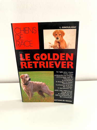 Golden retriever louise - retriever,