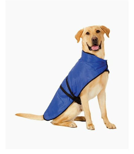 New with tags - tags, dog