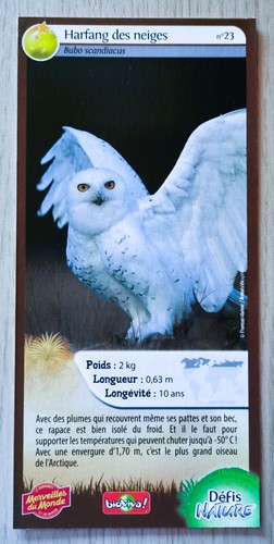 Carte merveilles monde - carte,