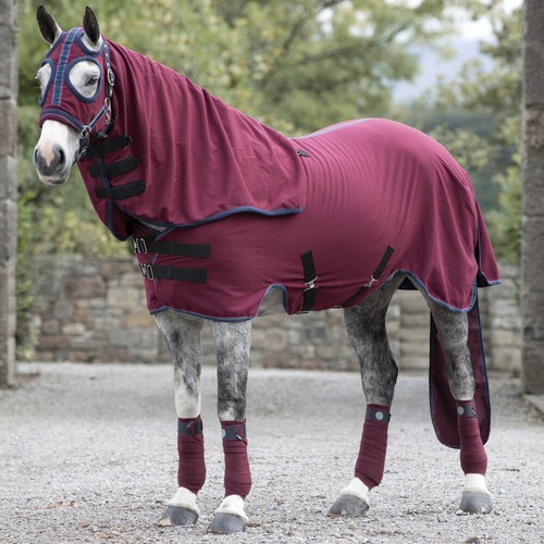 Horseware rambo show - rambo,