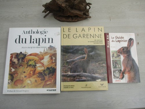 Lapins garennes lapinier - lapins,