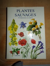 Plantes sauvages - Gründ 1984