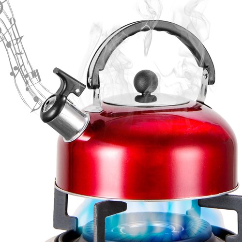 Bouilloire sifflante inox l - bouilloire,
