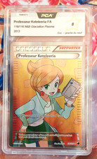 Pokemon Professeur Keteeleria