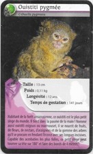 Carte Bioviva! - Ouistiti