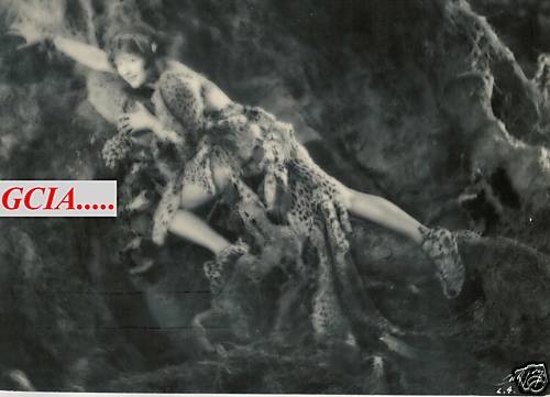 Julia faye 1923 - faye,