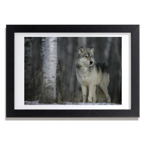 Tulup photo 30x20cm cadre - 30x20cm,