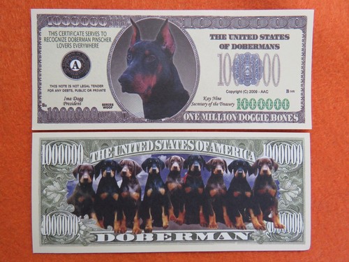 Factures doberman pinscher - 4,