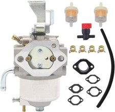Carburateur pour Briggs &