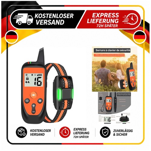 Collier dressage chien - dressage,