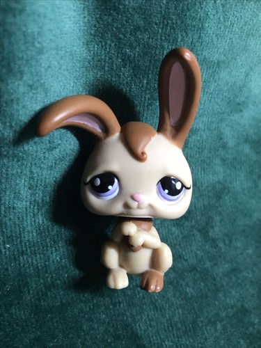 Petshop rabbit garenne - 🌺,