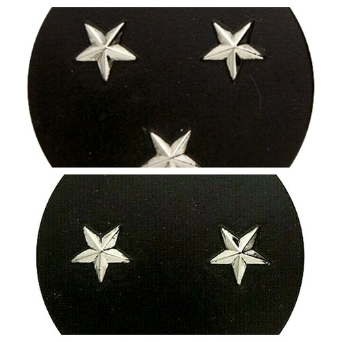 Insigne béret argent - insigne,