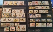  LOT26089/ OISEAUX, LOT ENV 55