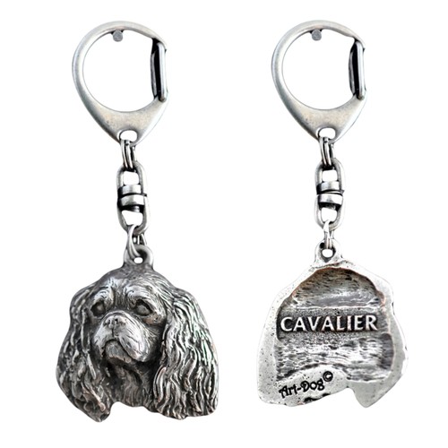 Cavalier king charles spaniel - charles,