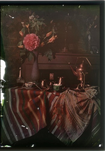 Autochrome 13x18 nature - autochrome,