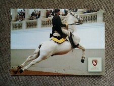CARTE POSTALE PUBLICITAIRE ÉCOLE ESPAGNOLE D ÉQUITATION DE VIENNE  CHEVAL 