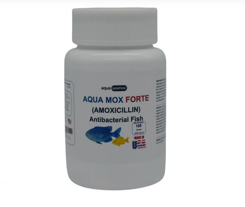 For aquarium use fish - fish, 500