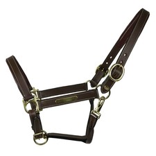 Equest Licol En Cuir Inscrit Pour Chevaux, Doublé - Mocha, S - Licol Pour Poney