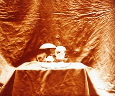 Amanite Mushroom c1910 Photo Vintage Glass Plate V36L23n 