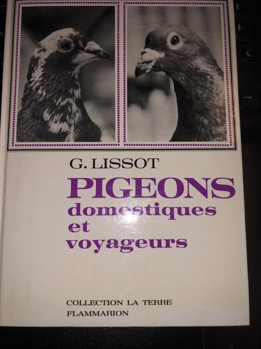 Isotonie pigeons - g.,