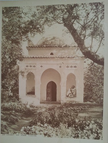Algérie photo 19ème tlemcen - photo,