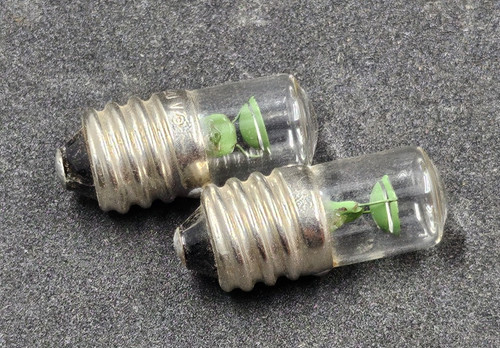 Lampe ampoule néon 220v - ampoule,