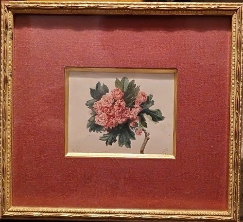 Charmante aquarelle miniature - charmante,