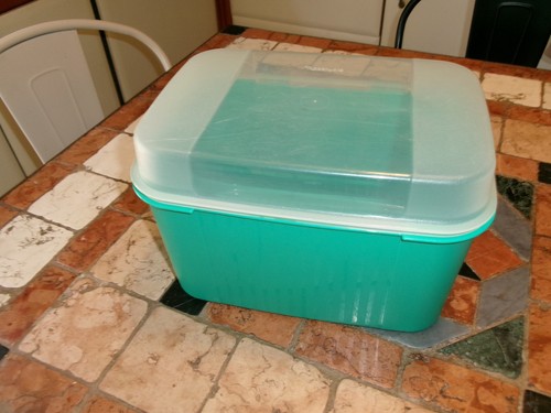 Grande boîte tupperware - grande,