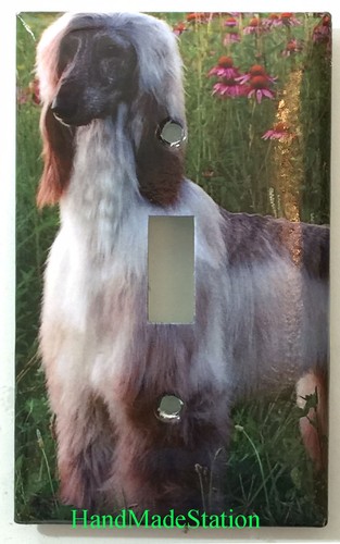 Afghan dog light switch power - afghan,
