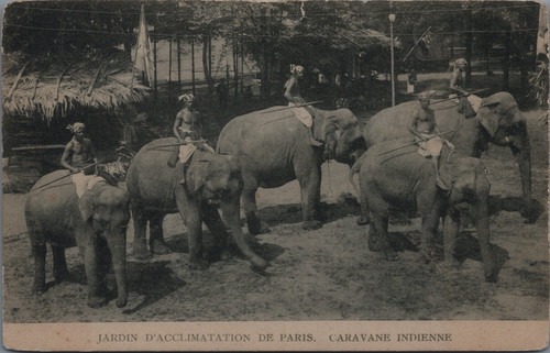 Zoo humain exposition - humain,,