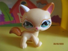 Petshop Cat Maine Coon Glitter #626 / With Magnet