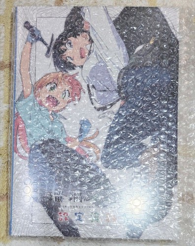 Ruri rocks concept art book - ruri,