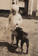 Child Petting Boston Terrier