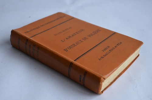 Henri moreau amateur - moreau, l'amateur