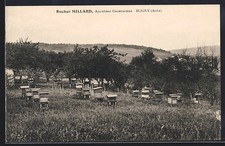 Old postcard Bligny / Daube, Apucher Millard, Beekeeper Builder 
