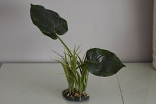 Terrarium Vivarium Large Bois