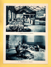 Collection pour l'enseignement