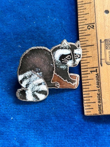 Raccoon animal raton laveur - raccoon,