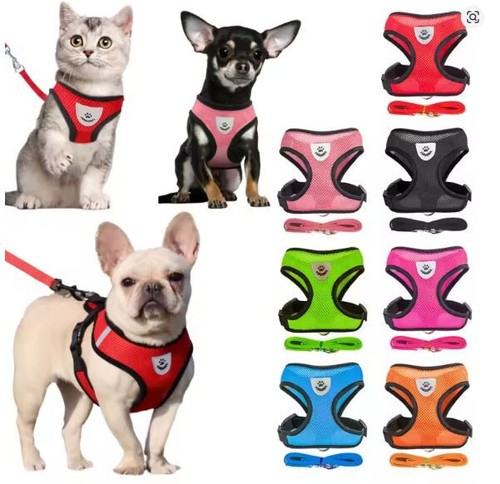 Harnais pour chien - et, chats