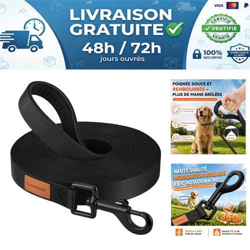 Laisse chien longe dressage - laisse, de