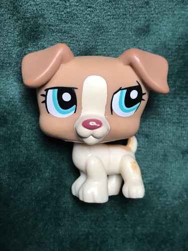 Petshop chien jack russel - chien,