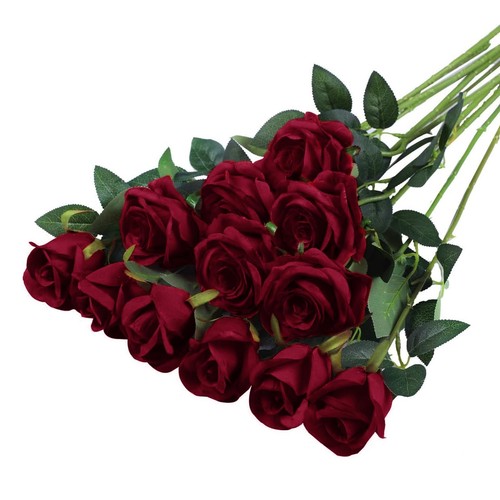 Pièces rouge foncé - 12,