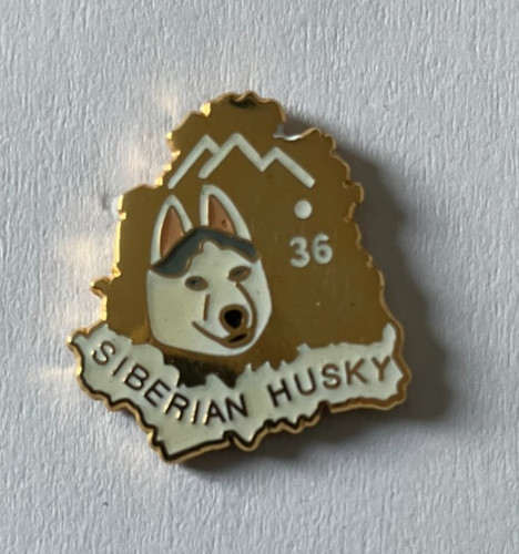 Pin s chien - pin's, siberian